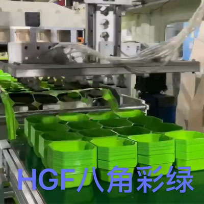 HSM7260 自動化正負(fù)壓熱成型機(jī)